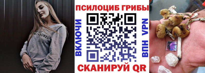 Галлюциногенные грибы Magic Shrooms Дмитров