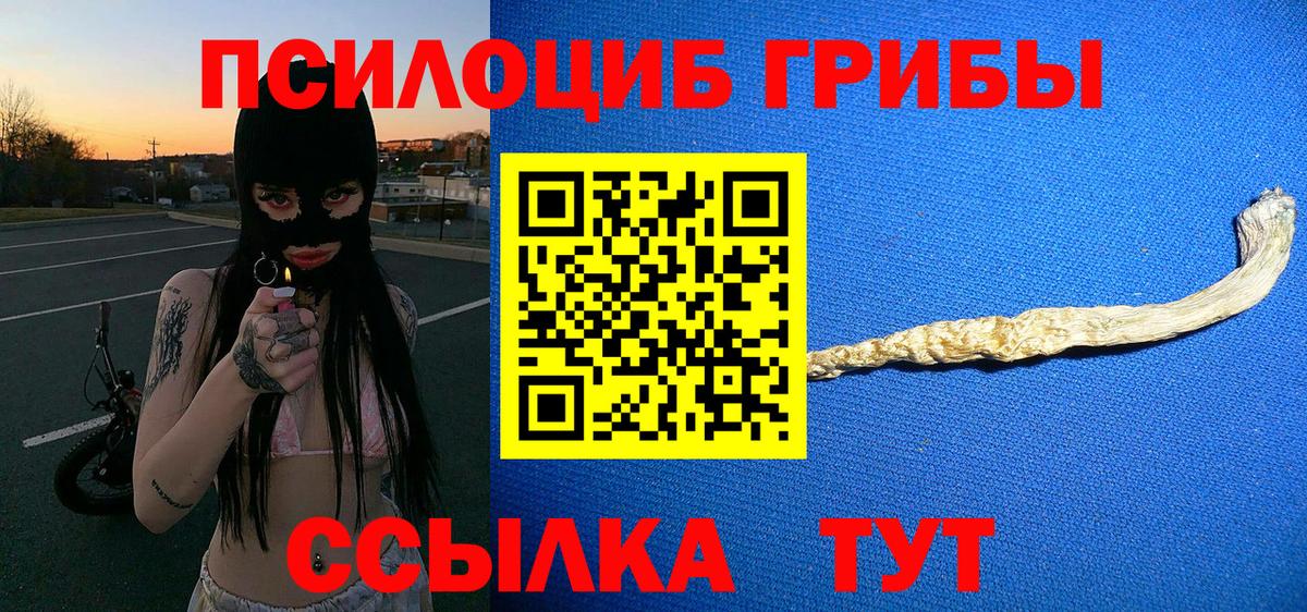 Псилоцибиновые грибы MAGIC MUSHROOMS  Вход с VPN  как найти наркотики  Дмитров 