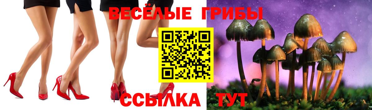 Псилоцибиновые грибы GOLDEN TEACHER Дмитров