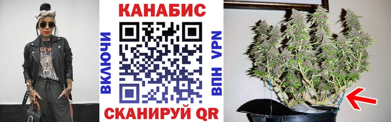 купить наркотик  Дмитров  МАРИХУАНА конопля 